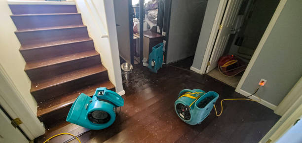 Carpet water damage restoration in District Heights, MD