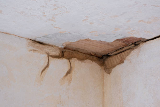 Best Water damage restoration insurance claims  in District Heights, MD
