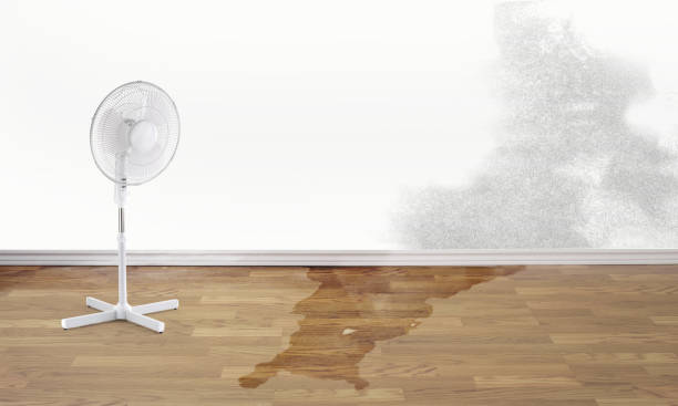 Best Residential water damage restoration  in District Heights, MD