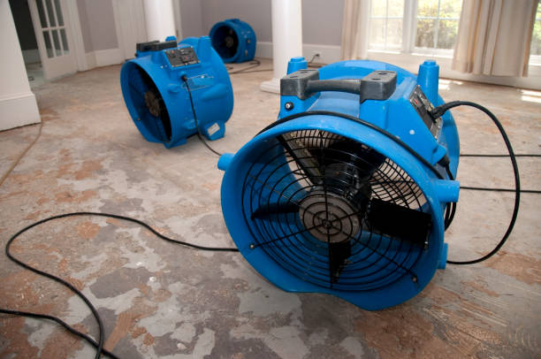 Best Water damage restoration near me  in District Heights, MD