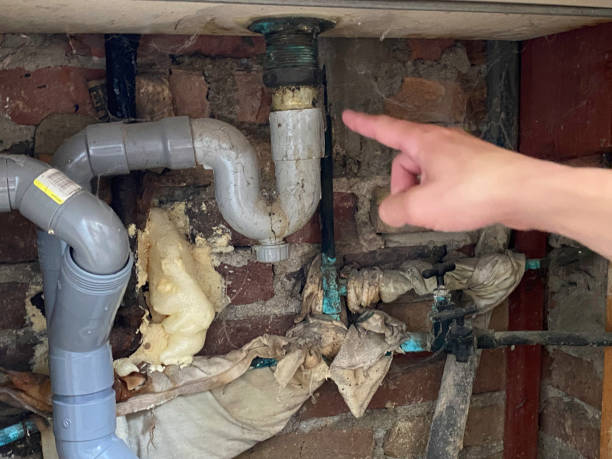 Best Carpet water damage restoration  in District Heights, MD