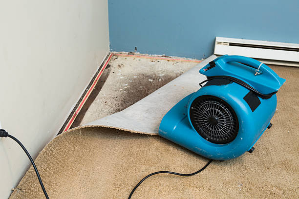 Best Professional water damage repair  in District Heights, MD