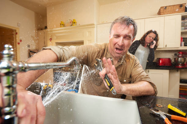 Best Water damage cleanup near me  in District Heights, MD